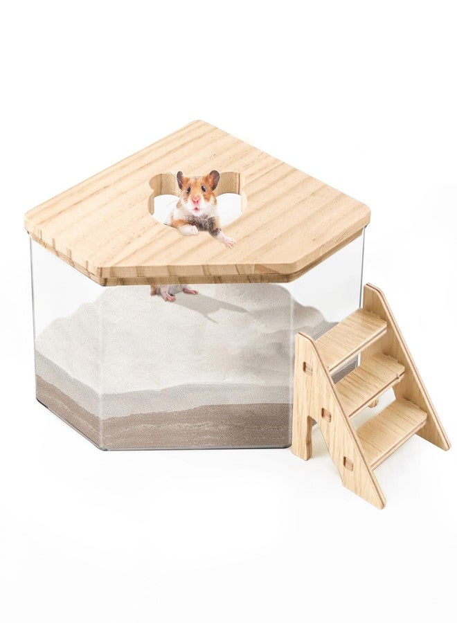Quxddy Hamster Sand Bath Box Container, Hamster Bath Sand Gerbil Sand Bath Hamster Dust Bath, Hamster Litter Box Chinchilla Dust Bath Hamster Accessories(Pentagon+Ladder) (Pentagon+Ladder) - Image 1